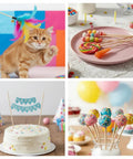 Make Your Next Craft Project A Real Deal Game Changer With These Top Shelf Unfinished Wooden Dowel Rods And Art And Craft Supplies, birthday celebration essentials.