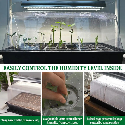 Seed Starter Kit With Grow Light Heat Mat 7 Inch Humidity Dome and 6x12 Cell Tray showcasing seedlings and humidity control