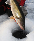 Person holding a caught fish over an ice fishing hole, wearing red winter clothing.