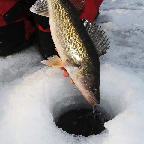 Person holding a caught fish over an ice fishing hole, wearing red winter clothing.