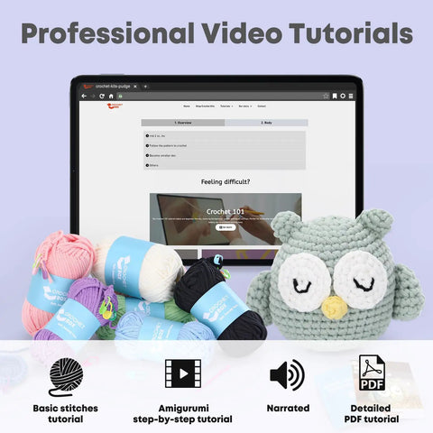 Owl Crochet Kit For Beginners DIY Friendly No Fuss With Step By Step Video Tutorials All In One Tools Set displayed with yarn and owl.