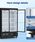 Heavy Duty Commercial Freezer Upright Two Door Glass Display Cold Storage 36 Cubic Feet with LED lights and adjustable shelves.