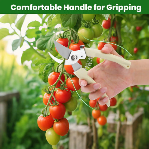 Hand holding 2 Pack Garden Pruning Shears With Sharp Bypass Blades, Stainless Steel Hand Pruners, cutting tomato plant