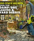 Kick Messy Debris Right Out Of Sight With This Heavy Duty 40 Volt Cordless Leaf Blower delivering 120 mph wind in a garden.
