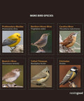 Image showing various bird species including Prothonotary Warbler, Northern House Wren, Carolina Wren, Bewick's Wren, Tufted Titmouse, and Chickadee.