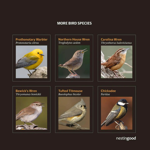 Image showing various bird species including Prothonotary Warbler, Northern House Wren, Carolina Wren, Bewick's Wren, Tufted Titmouse, and Chickadee.