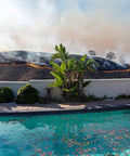 Backyard pool with fire in background, ideal for Portable Home Wildfire Protection Pump And Hose System For Backyard Pool With 12 Ft Suction Hose And Foot Valve Strainer For Easy Prime And Quick Water Defense Against Fires