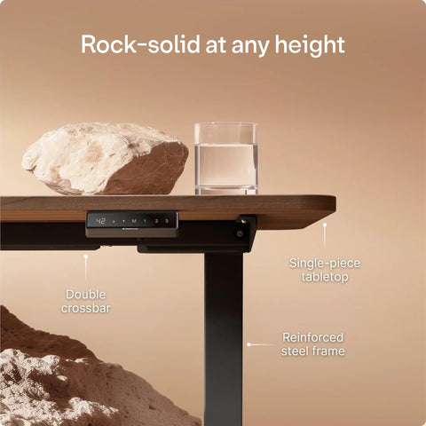 Desktronic HomeOne 60x30 Electric Standing Desk Sit Stand Home Office Ergonomic Height Adjustable with touchscreen control