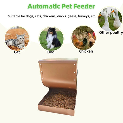 Heavy Duty Outdoor Dog Automatic Feeder 15 Pound Large Capacity with dry kibble, suitable for dogs and other pets.