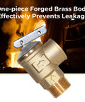 FOGATTI 3/4 in NPT brass safety relief valve with lever, 2-port, 150 PSI