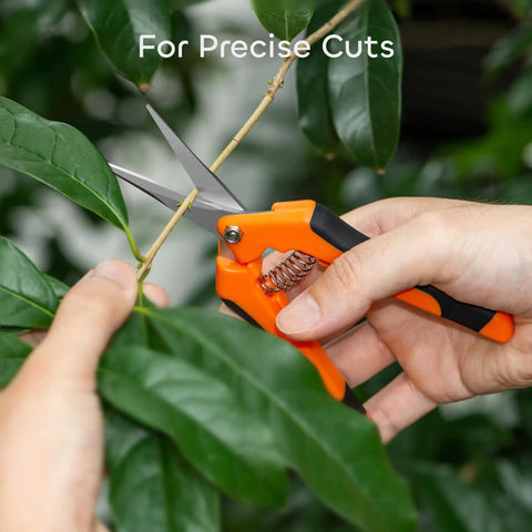 Three Pack 6.5 Inch Pruning Shears For Precise Cuts, One Hand Operation, orange ergonomic handle, cutting green stem