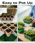 Seed Starter Tray Kit 10 Pack With Humidity Domes 120 Cells Total Germination Trays With Seedlings on Windowsill