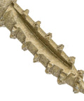 Close-up of heavy duty exterior coated construction lag screw with torx star drive, 16 inch length, 5/16 inch diameter, structural grade.