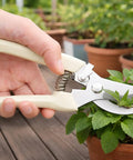 Pruning Shears Set Of Two For Gardening For Flowers Bonsai And Fruit Picking One Straight Blade And One Curved Blade With Ergonomic Comfort Grips Pro Grade Quality For Precise Pruning Of Plants And Trees being used on potted plant