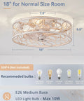 Total Game Changer Caged Ceiling Fan With Bright Light And Remote, Flush Mount Fandelier, 18-inch white and gold design.