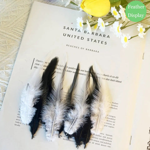Rooster Saddle Feathers Craft Pack 200 Pcs 5 To 7 Inches Premium Natural Feathers displayed on a book with flowers.