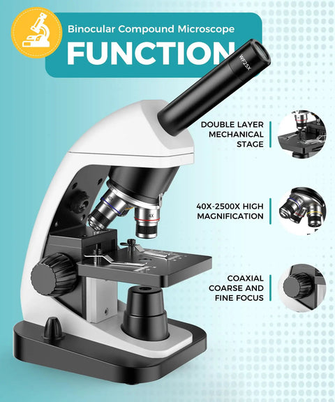 Biological Compound Microscope 100X To 2000X With Phone Adapter Black Model For Adults Students And Kids Kid Friendly Pro Grade Lab Teaching Instrument Includes Complete Slides Set For Classroom And Home Labs, white and black binocular microscope with 25X eyepiece
