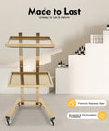 Two Tier Stainless Steel Rolling Cart With Wheels, Foldable Salon Tray Trolley For Tattoo Studio, Golden Finish