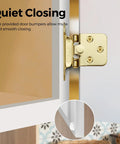 Top Shelf Gold Cabinet Hinges Four Pack Semi Concealed One Half Overlay showing soft close mechanism and door bumper.