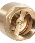 Close-up of brass one-way check valve interior with spring, for 1-1/4 in NPT connections