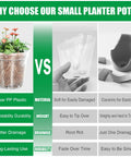 Comparison chart showing clear 2.5 inch nursery pots vs ceramic pots, highlighting durability, weight, and drainage benefits.