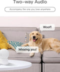 Golden retriever on a sofa uses Must Have 360 Degree Pet Camera For Baby And Pets Indoor Security Camera with two-way audio