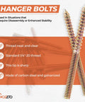 Close-up of 16 Pack One Quarter By Two Inch Hanger Bolts With Driver Bit Heavy Duty Threaded Fastener Kit, galvanized steel, detailed threads.