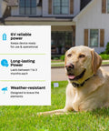 Top Shelf 6V Lithium Battery Pack Of Two For Electric Dog Fence Collars And Wireless Pet Containment Systems Long Lasting Reliable Training Gear No Sweat Daily Use with a dog outside.