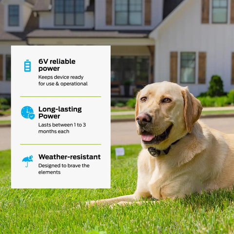 Top Shelf 6V Lithium Battery Pack Of Two For Electric Dog Fence Collars And Wireless Pet Containment Systems Long Lasting Reliable Training Gear No Sweat Daily Use with a dog outside.