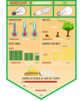 Infographic comparing incandescent, fluorescent, and LED light bulbs by temperature, lifespan, and cost.