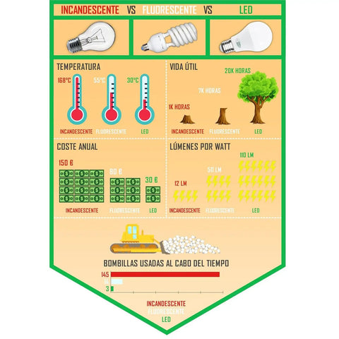 Infographic comparing incandescent, fluorescent, and LED light bulbs by temperature, lifespan, and cost.