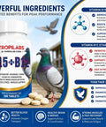 Pigeon Vitamin Supplement With B12 And B15 For Energy Boost And Endurance, 100 Tablets bottle with pigeons and label details.