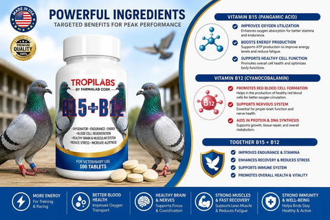 Pigeon Vitamin Supplement With B12 And B15 For Energy Boost And Endurance, 100 Tablets bottle with pigeons and label details.