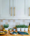 Kitchen scene with 10 Pack Champagne Bronze Cabinet Pulls In 5 Inch 128mm For Kitchen Cabinets Cupboards And Drawers installed on white cabinets.