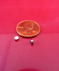 Tiny 3x1.5mm Neodymium Disc Magnets Pack Of 300 For Warhammer And Miniatures next to a penny on red background.