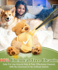 Easy Clean Handheld Steam Cleaner For Home And Car 275F High Temp Fast Heat Multi Surface Steamer Chemical Free Pet Safe use