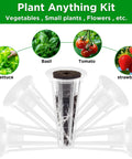 50 Pack Hydroponic Grow Baskets For Indoor Garden Systems, focus on clear plastic basket with plant graphics overhead.