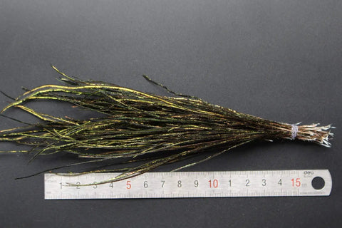 Natural Peacock Herl 400 Strands for Fly Tying Nymphs and Wet Streamers Rib and Body Material Length 4 to 8 Inches