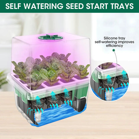 Self Watering Seed Starter Tray With Grow Light 60-Cell 5-Pack Reusable Seedling Trays Silicone Humidity Dome for indoor planting
