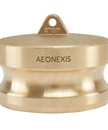Heavy Duty 3 Inch Camlock Fittings Type DP Forged Brass Leak Proof Dust Plug Quick Connect Coupling for water and gas transfer.
