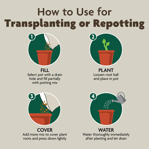 How to use Organic Indoor Potting Mix With Smart Moisture Regulation for transplanting step-by-step guide.