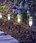 Outdoor Pathway Light Set With 570 Lumen LED Lights 6 Pack Plug In 12V Low Voltage Landscape Lighting in garden path