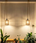 Amp Up Your Space With This Straight Up Badass Boho Pendant Light Featuring A Heavy Duty 16.5 Ft Plug In Swag Cord And Handwoven Rattan Cylinder Shade For Zero Hassle Setup And Chill Room Vibes, hanging above plants.