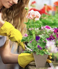 Gardener holding plant in 144 Cell Seed Tray Set With 12 Packs Biodegradable Seedling Pots, 100 White Labels And 2 Transplanters Kit