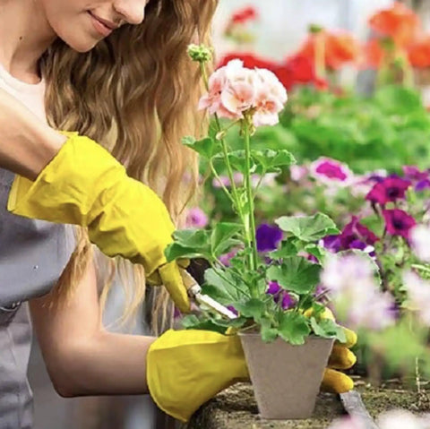 Gardener holding plant in 144 Cell Seed Tray Set With 12 Packs Biodegradable Seedling Pots, 100 White Labels And 2 Transplanters Kit