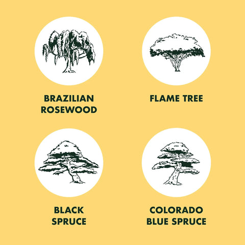 Bonsai Tree Kit For Beginners Grow Your Own Mini Bonsai With Four Varieties Seed Starter Kit Includes Potting Soil Jute Bags Pruning Shears Plant Markers And Easy Step By Step Guides showcasing Brazilian Rosewood, Flame Tree, Black Spruce, and Colorado Blue Spruce illustrations.