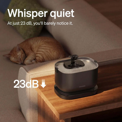 Cordless Battery Operated Cat Water Fountain With 2.5L Capacity 84oz stainless steel tray on wooden table next to sleeping cat