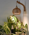 Go-To Rattan Hanging Grow Light For Indoor Plant Parents, 3800K Warm White illuminating lush houseplants in cozy decor.