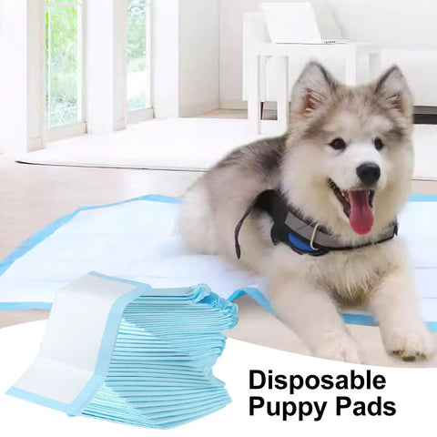 Heavy Duty 5 Layer Pee Pads For Adults And Kids 13X18 Extra Premium Plush Quilted Changing Underpads on floor with a dog.
