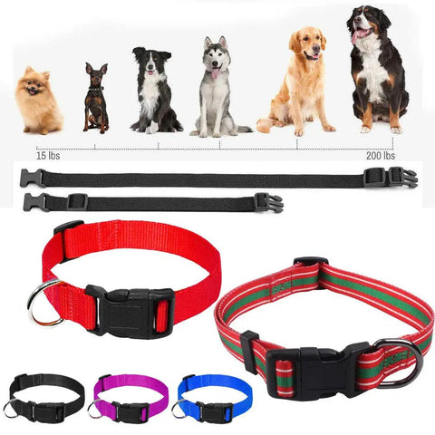 Dog collars with Durable Five Eighth Inch Curved Paracord Bracelet Clips Pack Of 30 Beefy Plastic Side Release Buckles